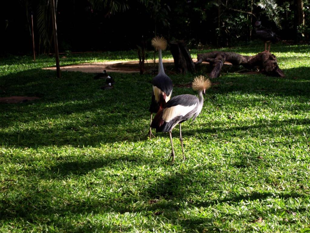 Pousada Jk Foz do Iguaçu Exterior foto